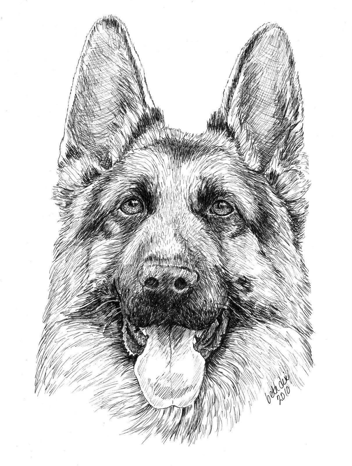 87 Realistic Dog Coloring Pages Just Kids