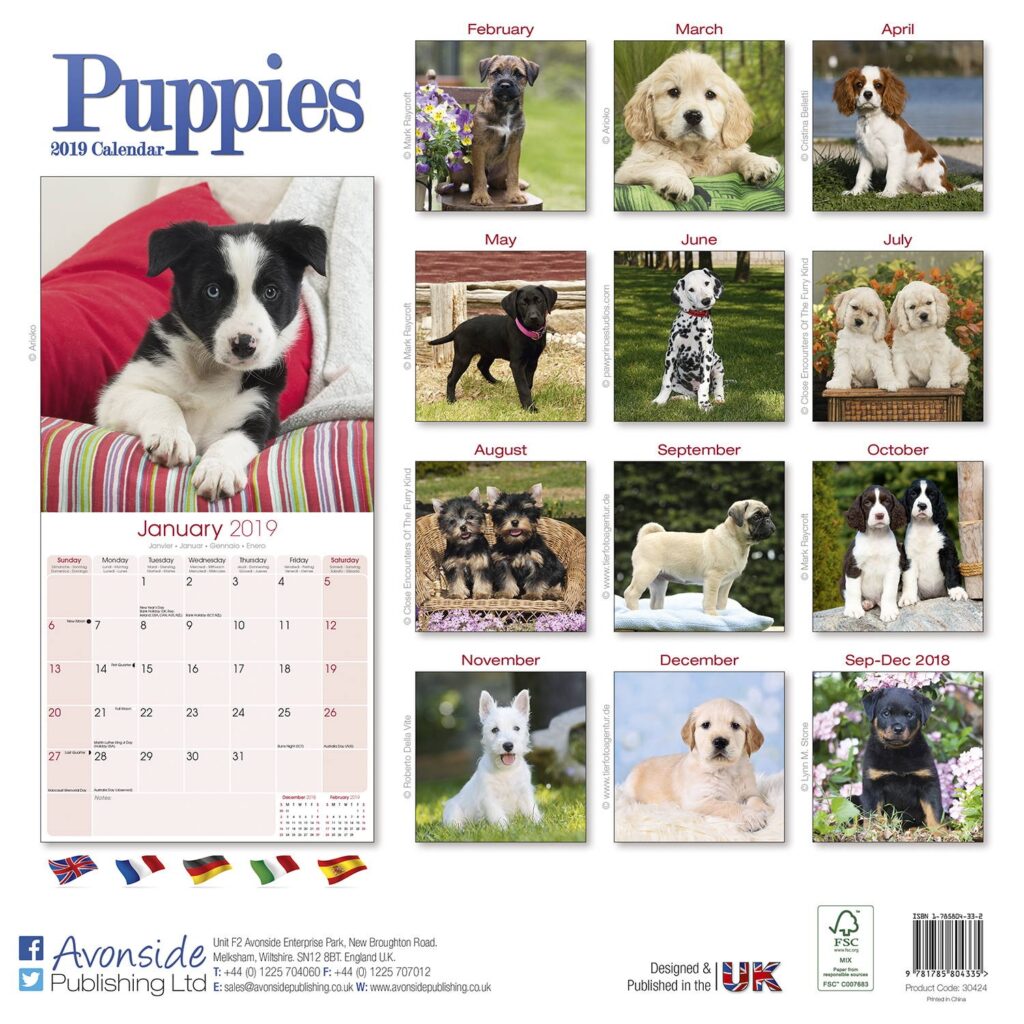 A Comprehensive Guide To Dog Breed Calendars Navigating The World Of 