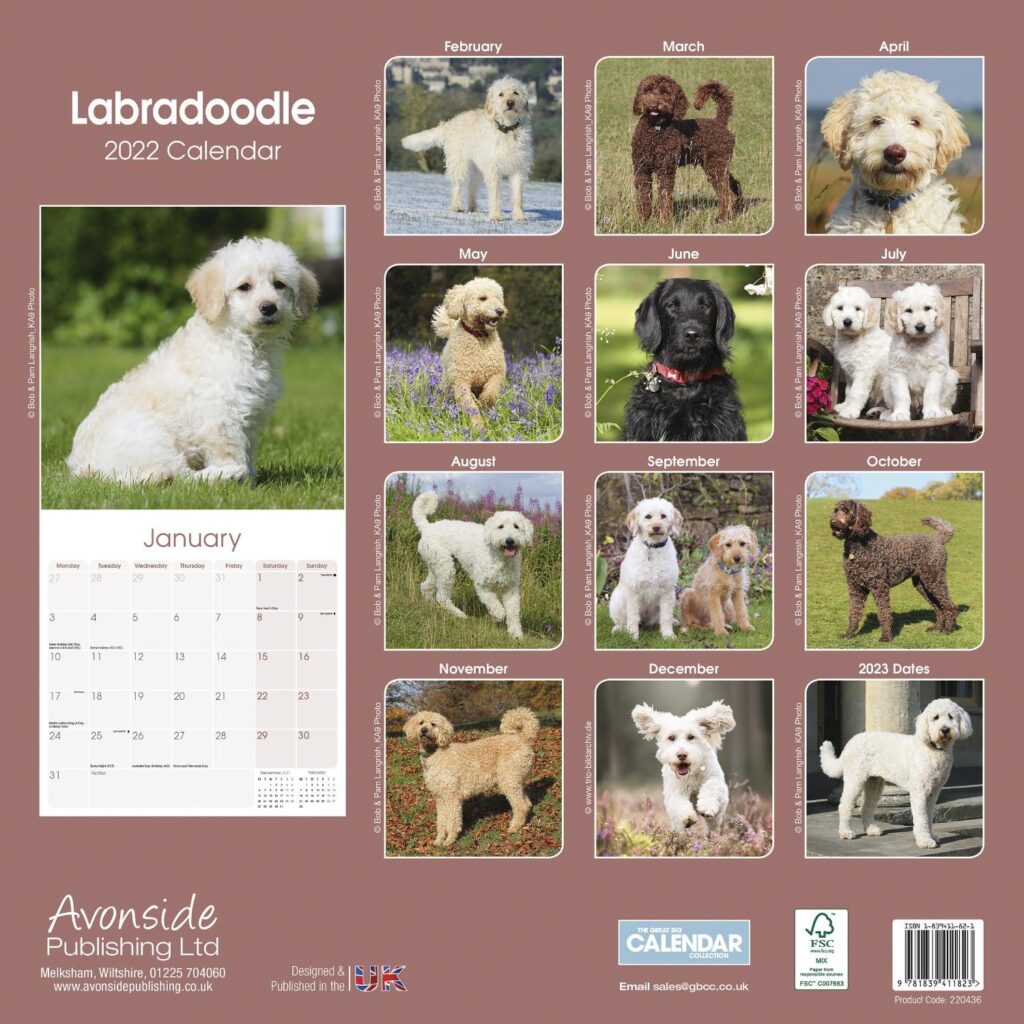 A Comprehensive Guide To Dog Breed Calendars Navigating The World Of 