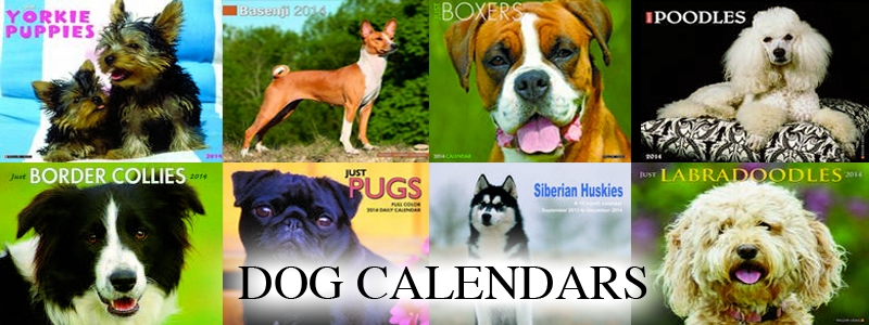 A Comprehensive Guide To Dog Breed Calendars Navigating The World Of 