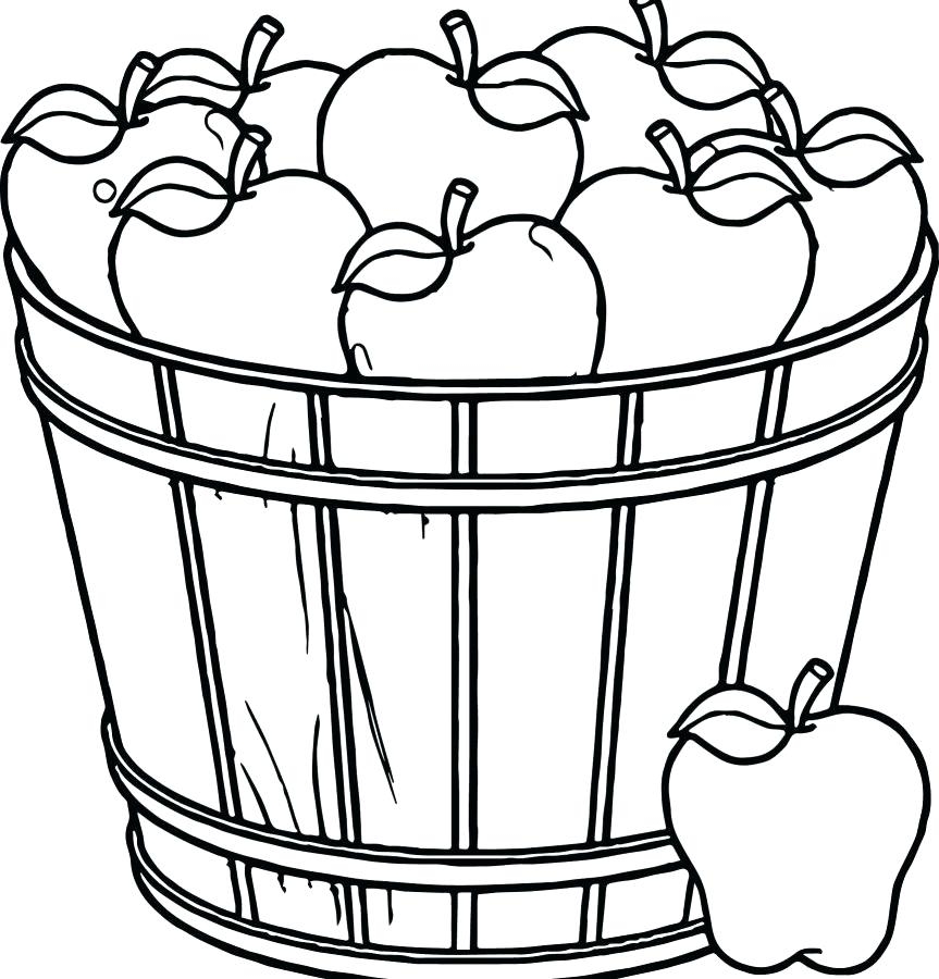 Apple Coloring Pages At GetColorings Free Printable Colorings 