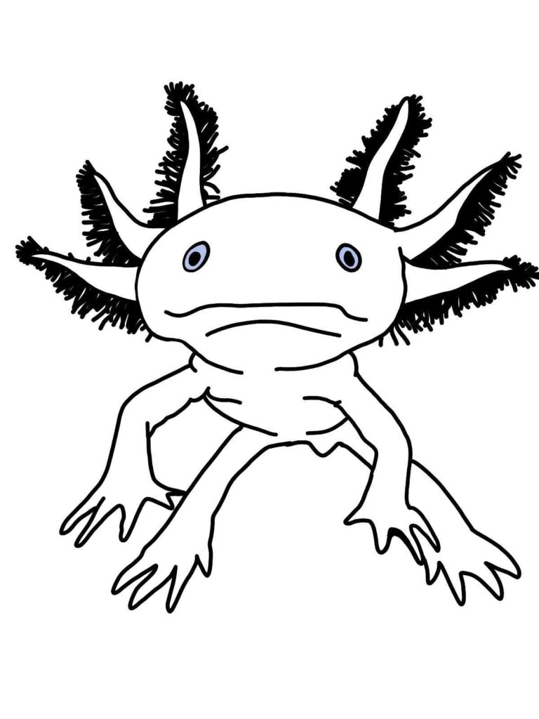 Axolotl Printable Coloring Pages
