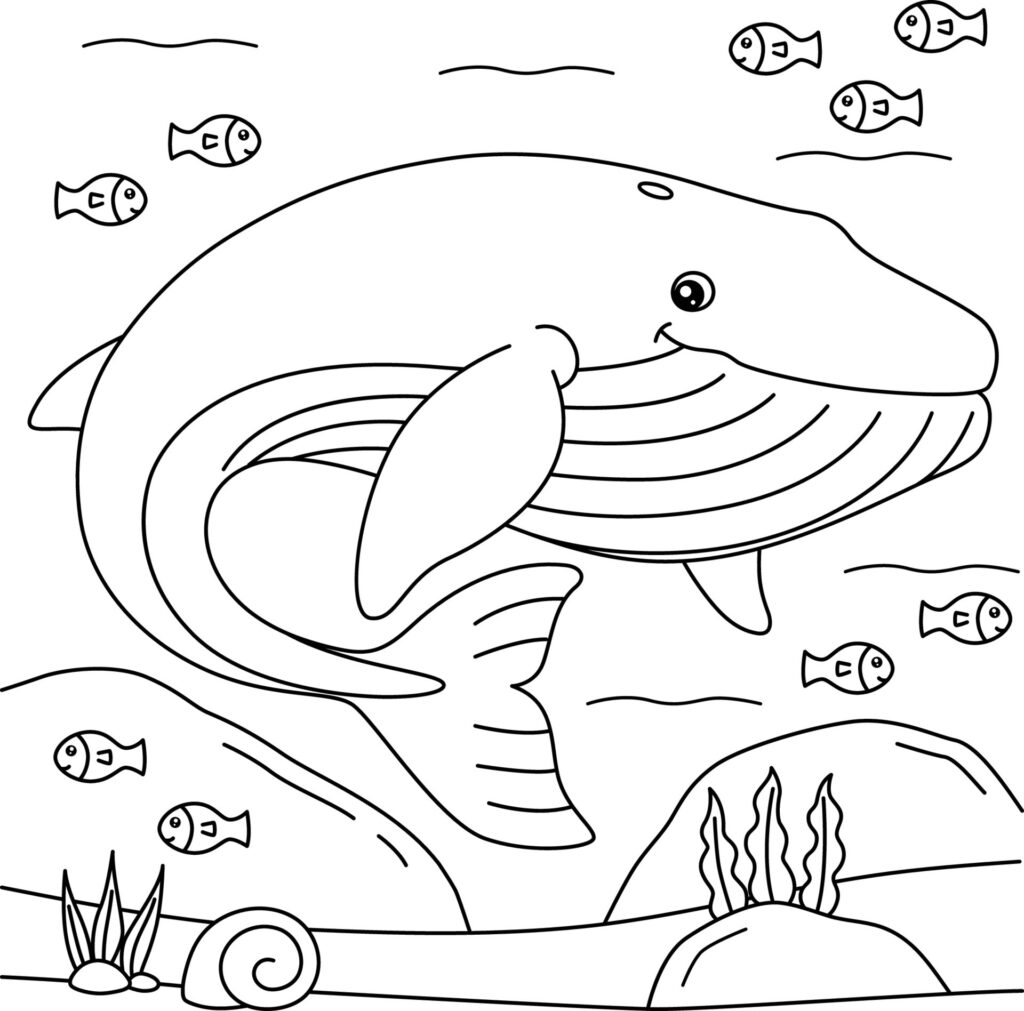 Blue Whale Coloring Pages Printable