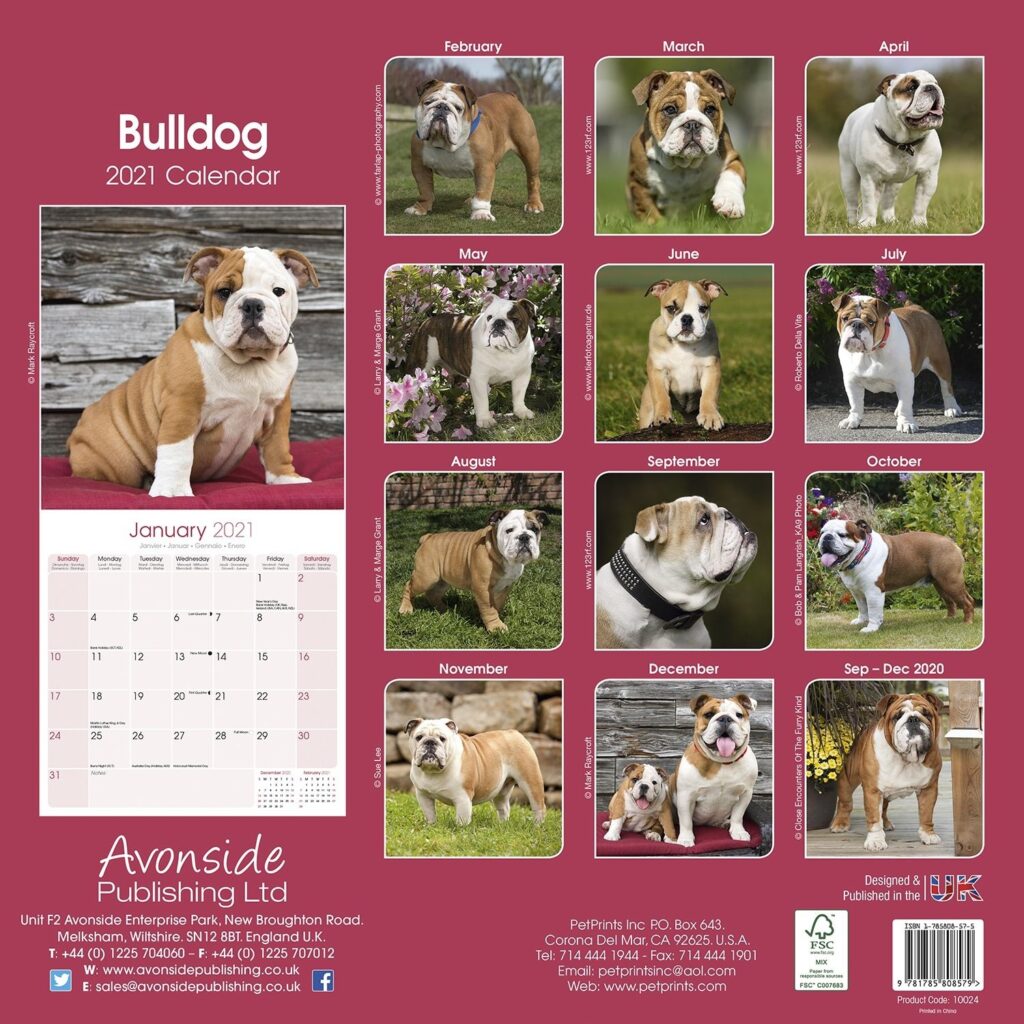 Bulldog Calendar Dog Breed Calendars Pet Prints Inc
