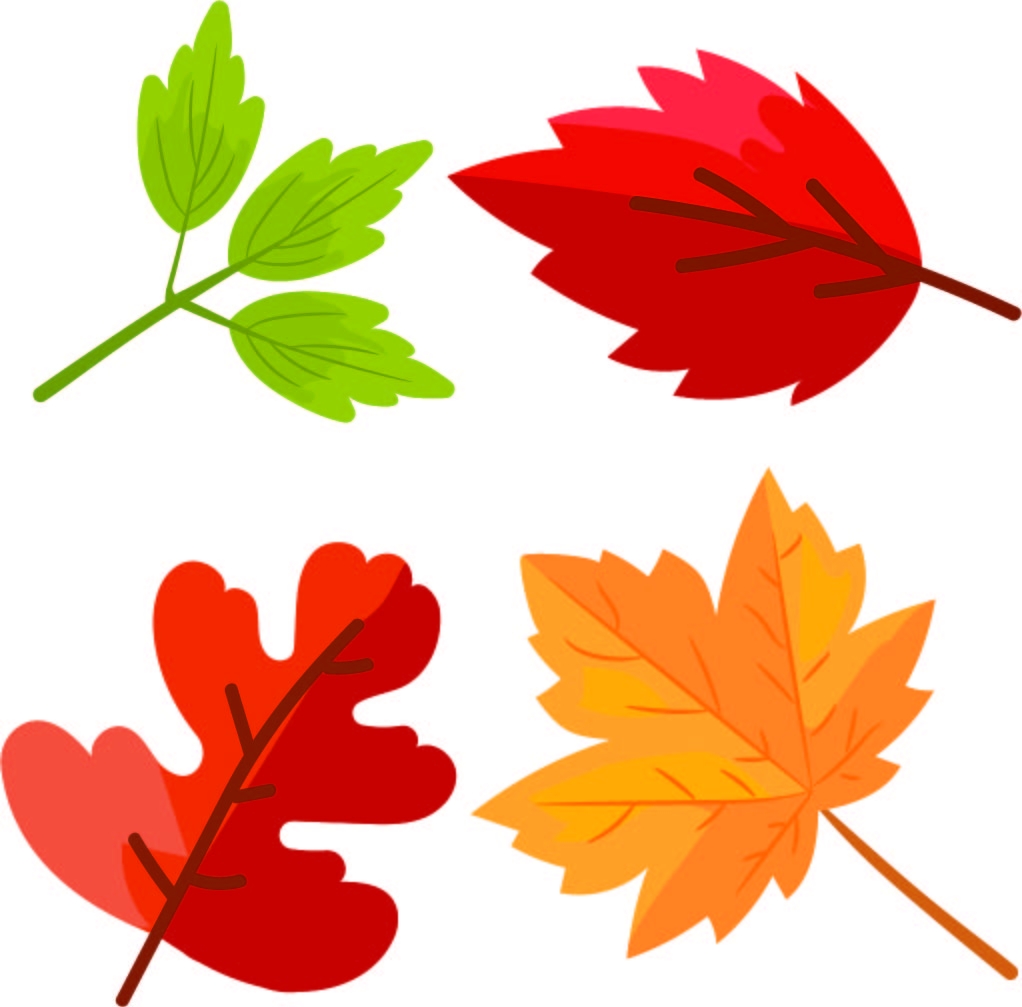 Cut Out Printable Fall Leaves