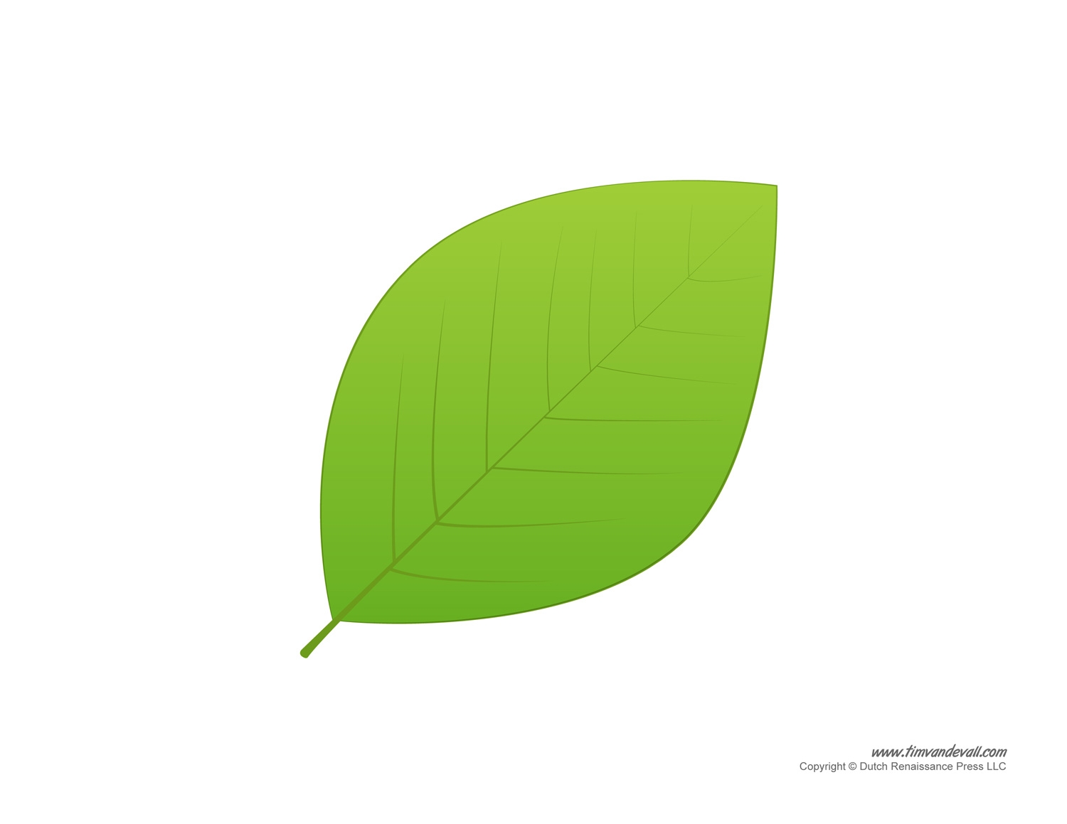 Cut Out Printable Leaf Template