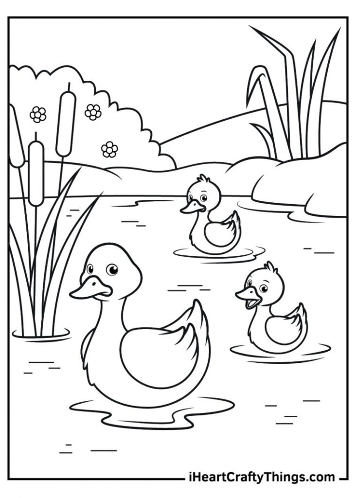 Duck Coloring Pages 100 Free Printables 