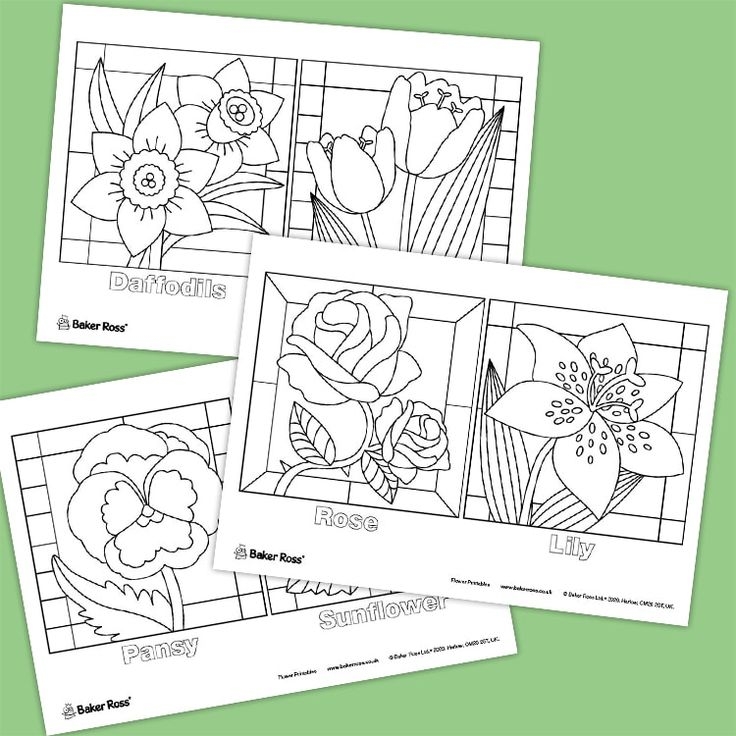 Flower Pictures Free Craft Ideas Baker Ross Flower Pictures 