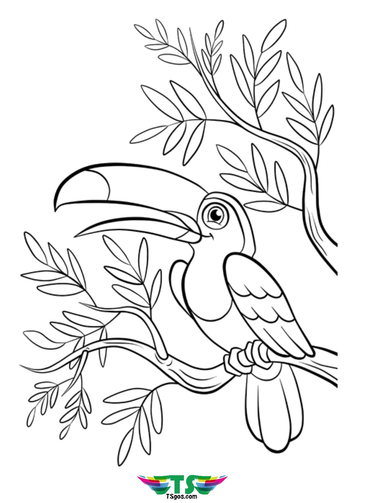 Free Printable Bird Coloring Pages