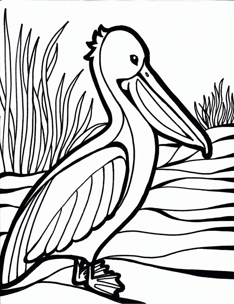 Free Printable Coloring Pages Birds