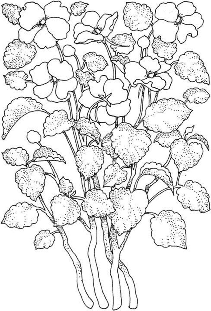 Free Printable Flower Coloring Pages For Kids Best Coloring Pages For 