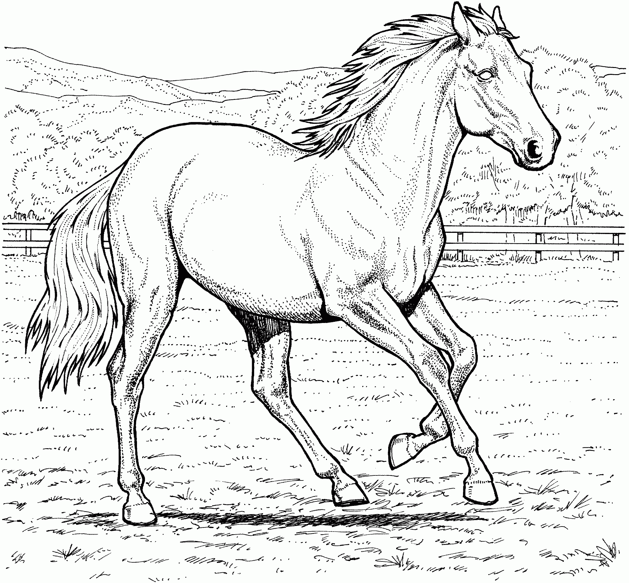 Free Printable Horse Coloring Pages For Kids