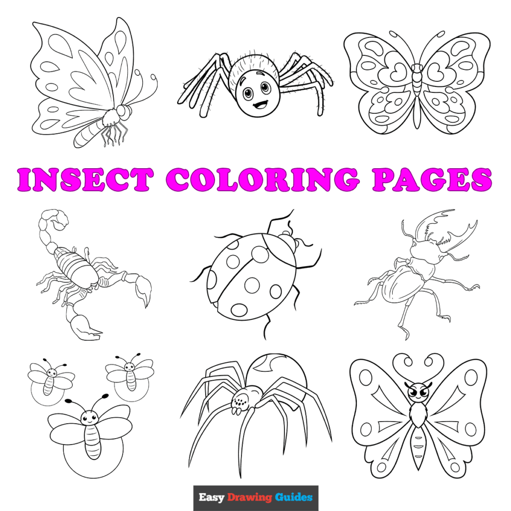 Free Printable Insect Coloring Pages For Kids