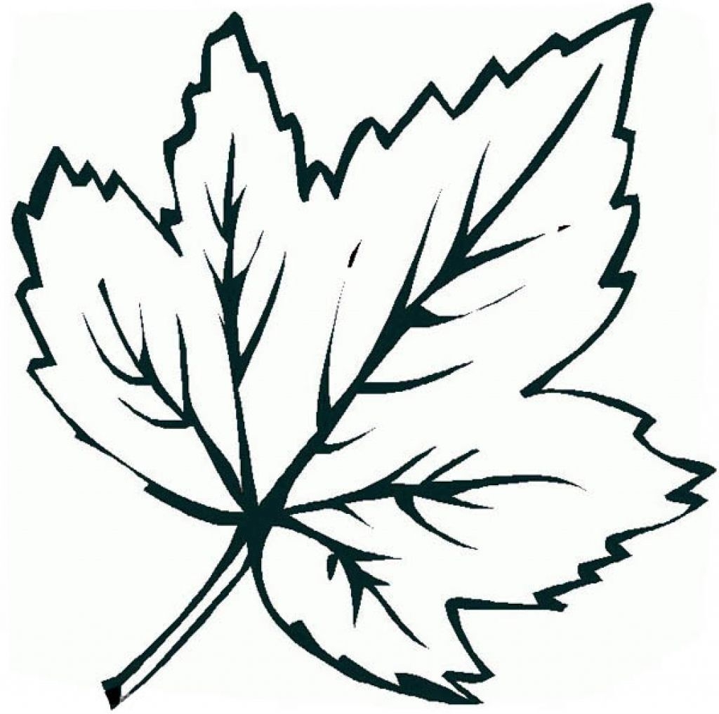 Free Printable Leaves Coloring Pages