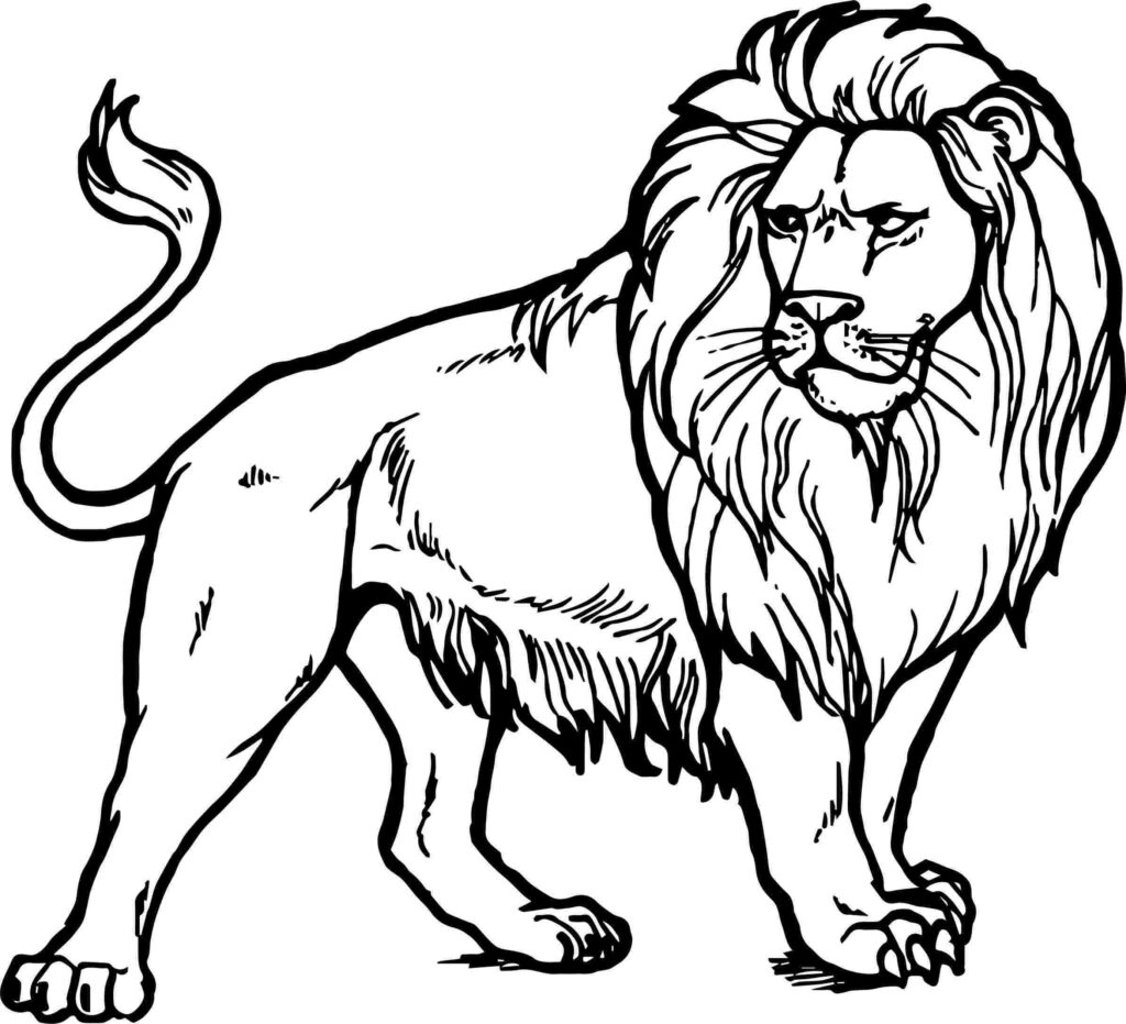 Free Printable Lion Coloring Pages