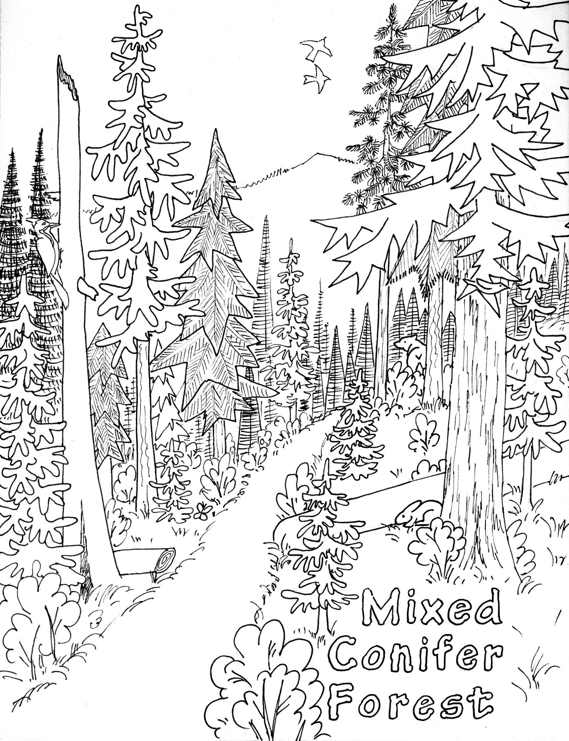 Free Printable Nature Coloring Pages For Kids Best Coloring Pages For