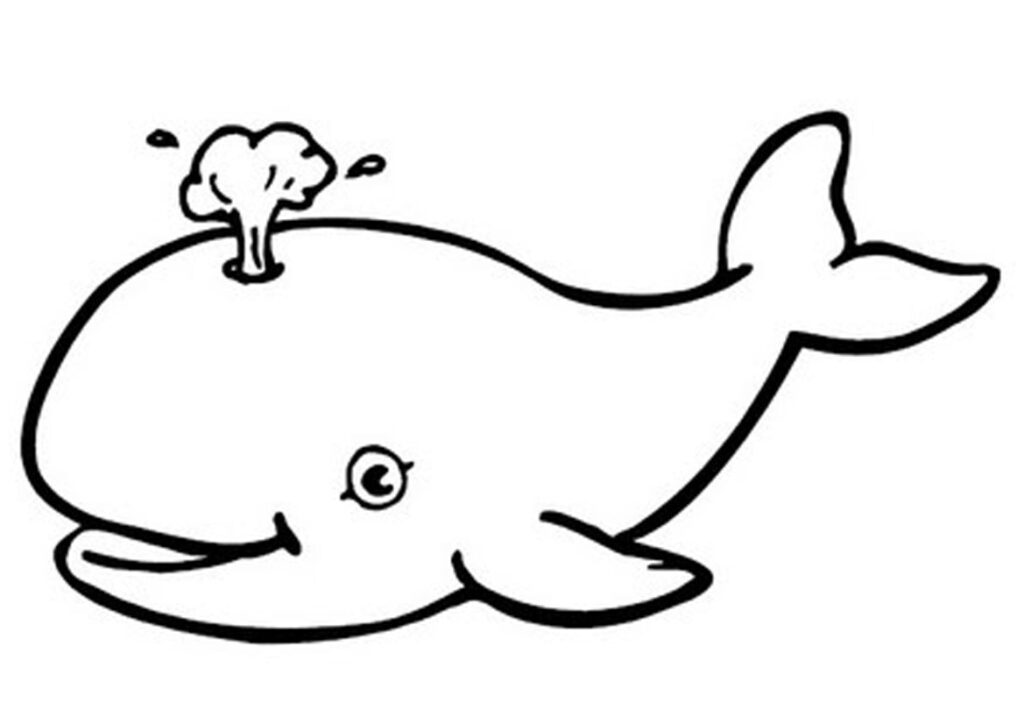 Free Printable Whale Coloring Pages