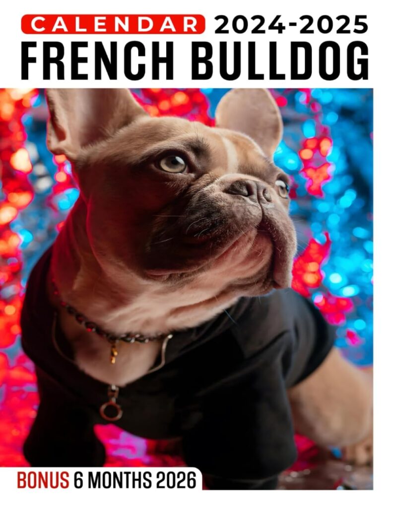French Bulldog Calendar 2024 2025 30 Months Calendar French Bulldog