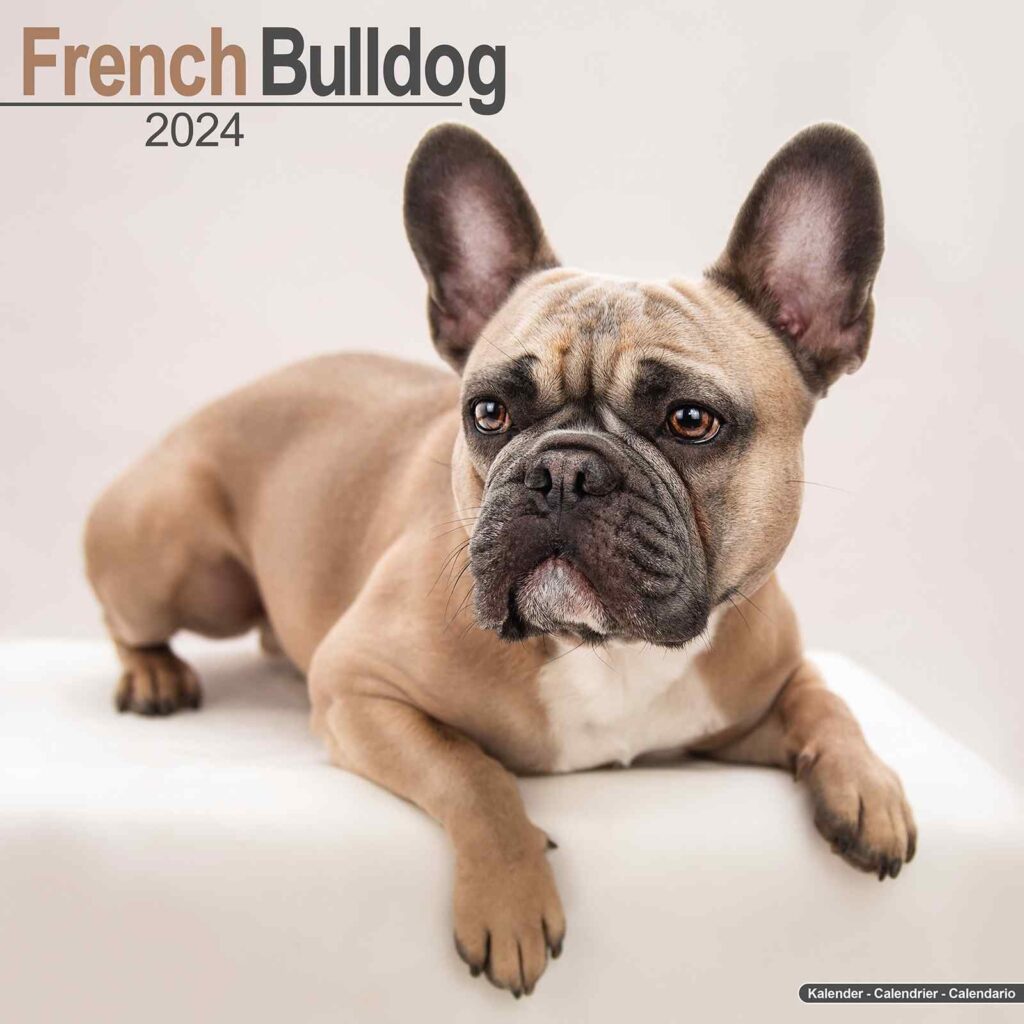 French Bulldog Die Cut Calendar Leta Merrilee