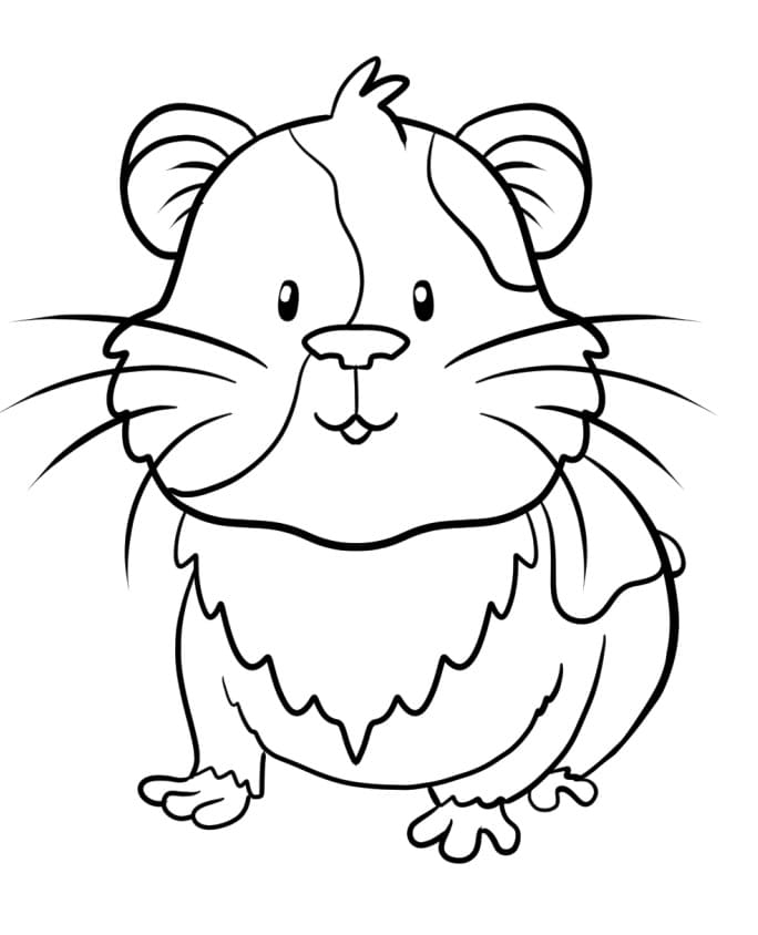 Guinea Pig 3 Coloring Page Free Printable Coloring Pages For Kids