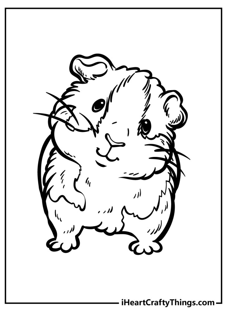 Guinea Pig Coloring Pages 100 Free Printables
