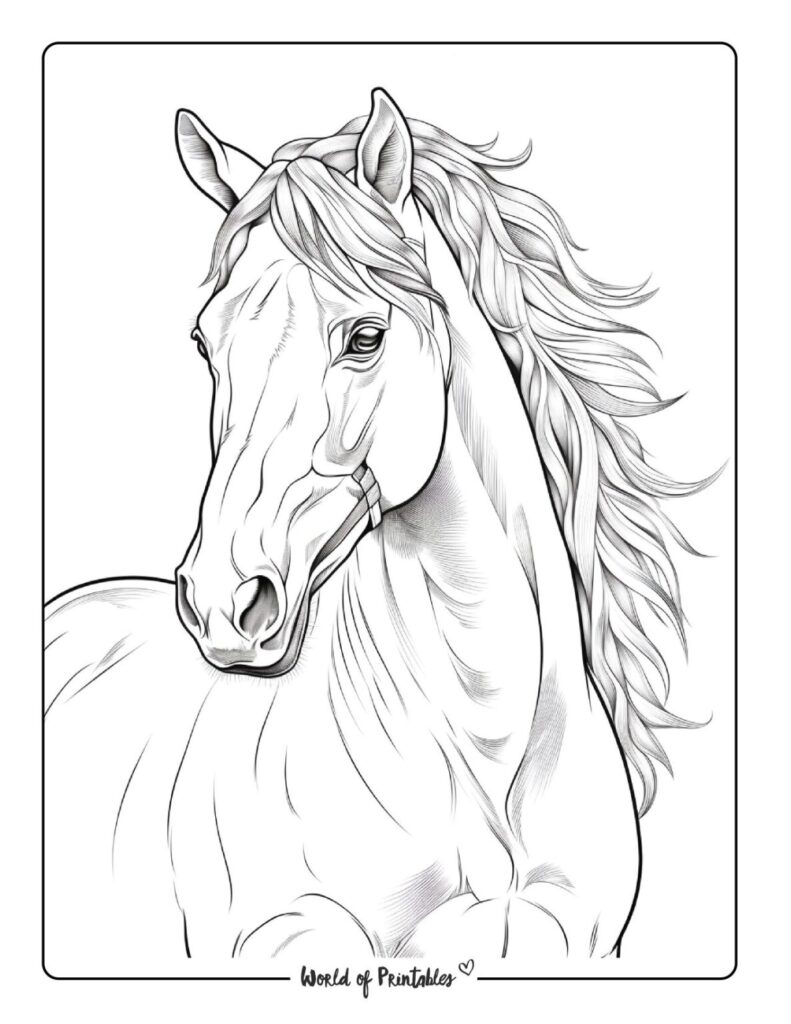 Horse Coloring Pages For Kids Adults World Of Printables