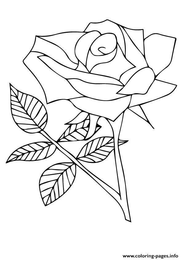 Nature Flower A4 Coloring Page Printable