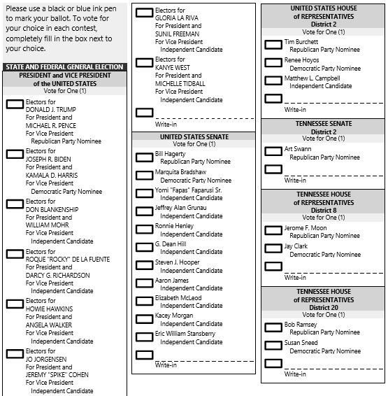 Printable Ballot Template