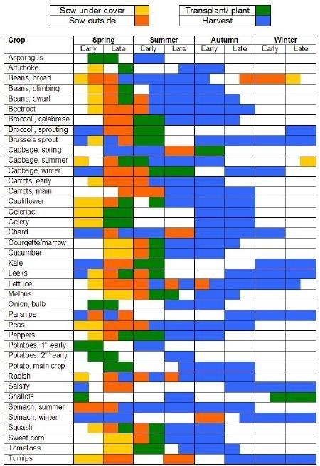 Printable Zone 8 Planting Guide