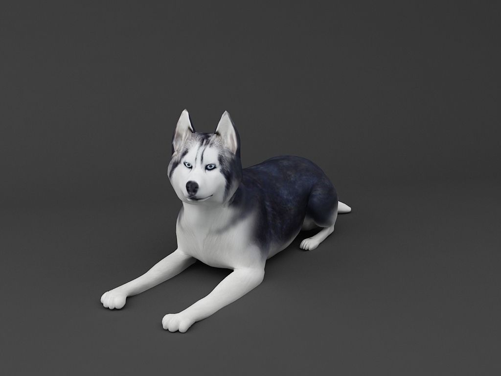 Siberian Husky 3D Printable Dog Model 3D Model 3D Printable STL