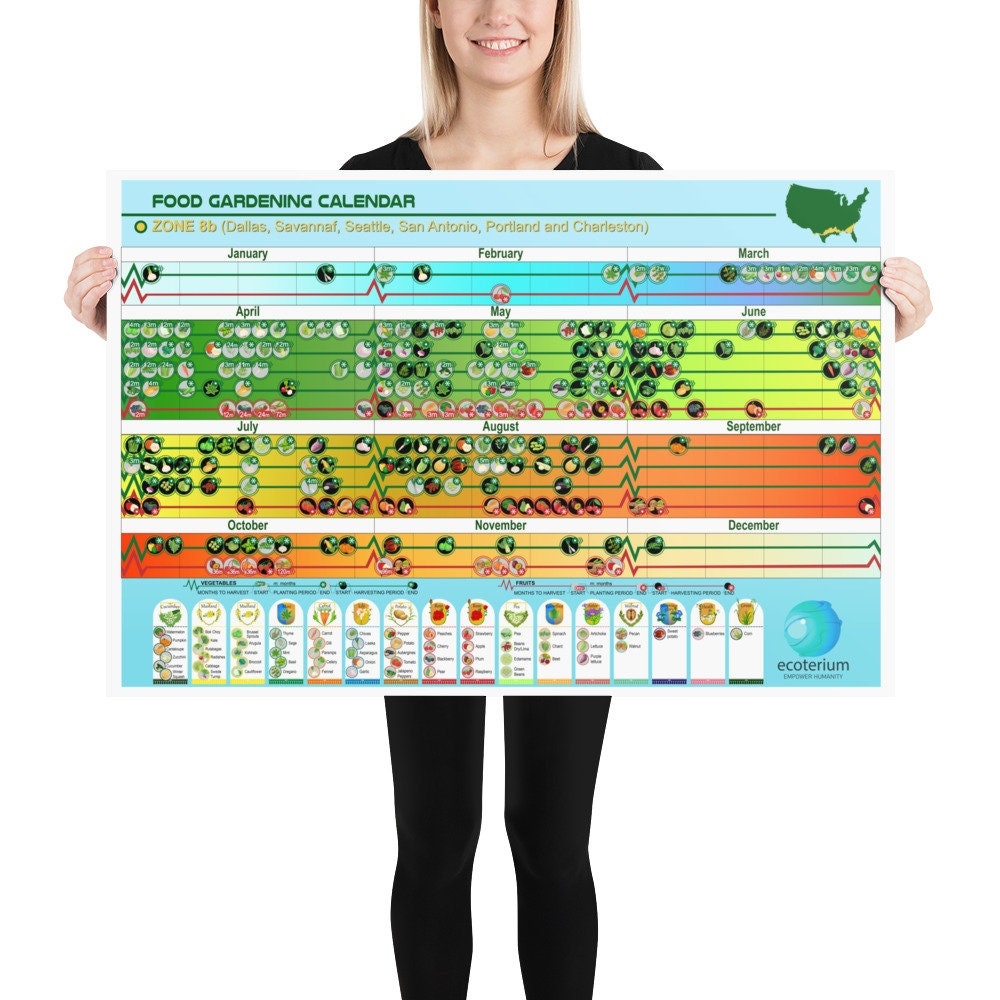 Zone 8b Planting Calendar Unframed Poster 24 X 36 Inches Food 