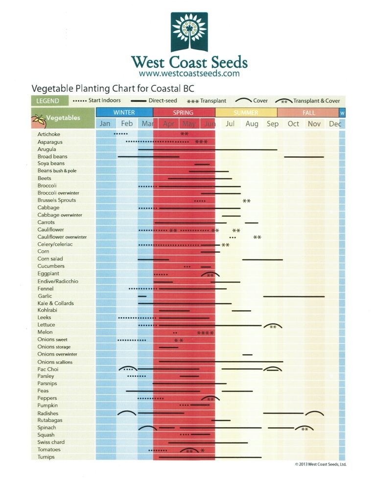 Zone 8B Vegetable Planting Calendar