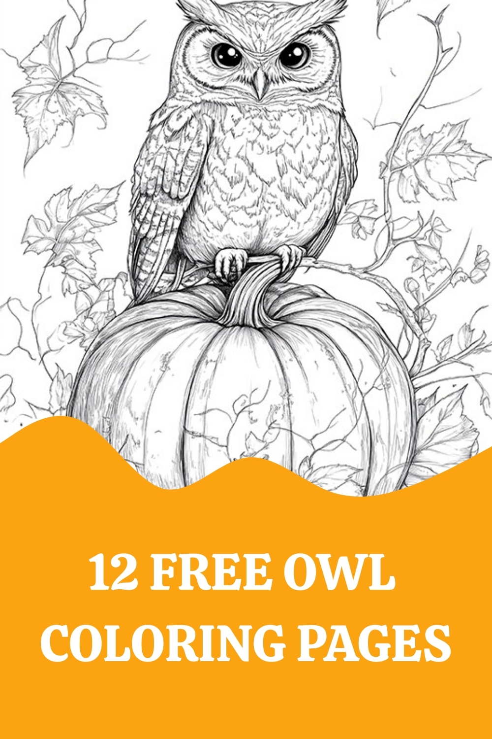 12 Owl Coloring Pages Vintage Style 