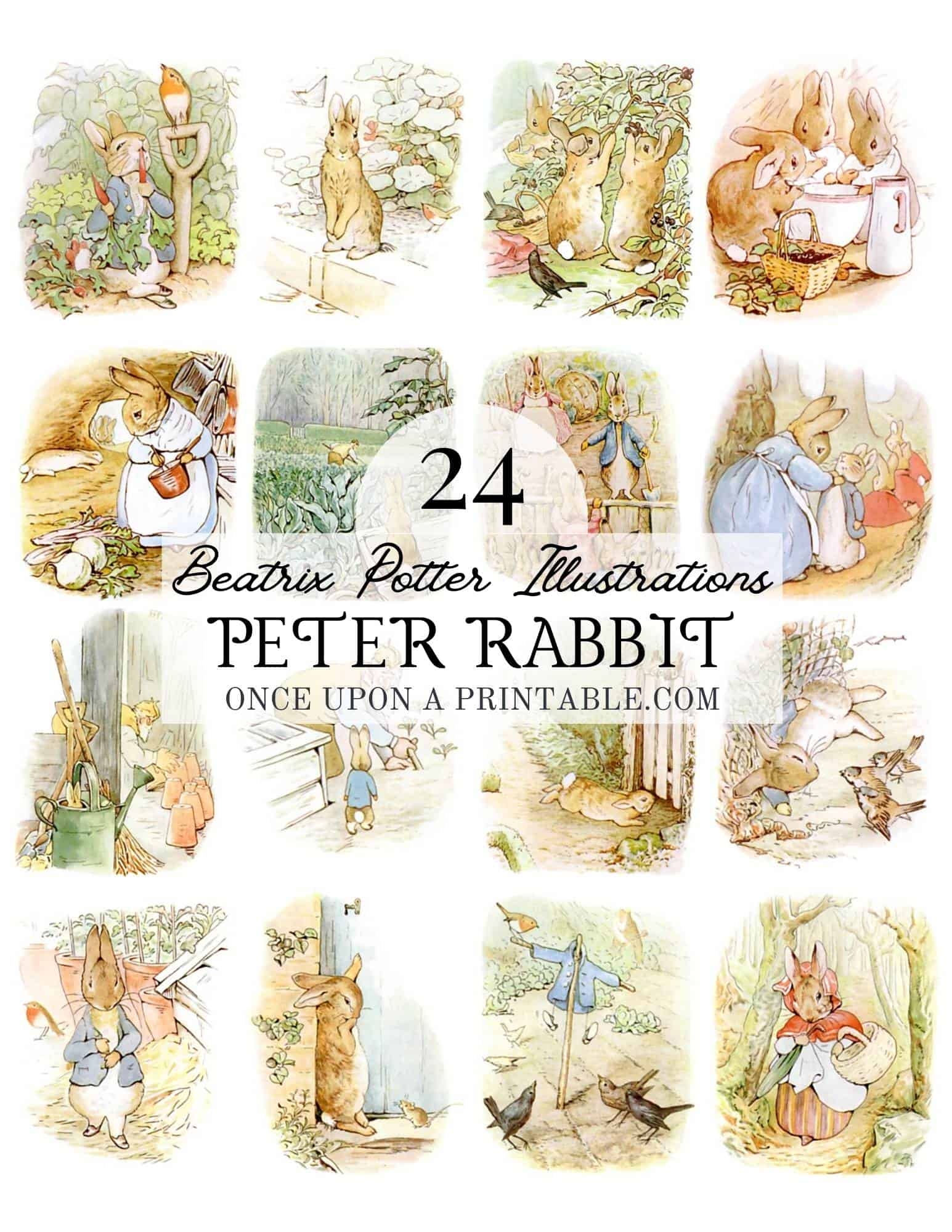 24 Tale Of Peter Rabbit Images By Beatrix Potter Free Once Upon A Printable