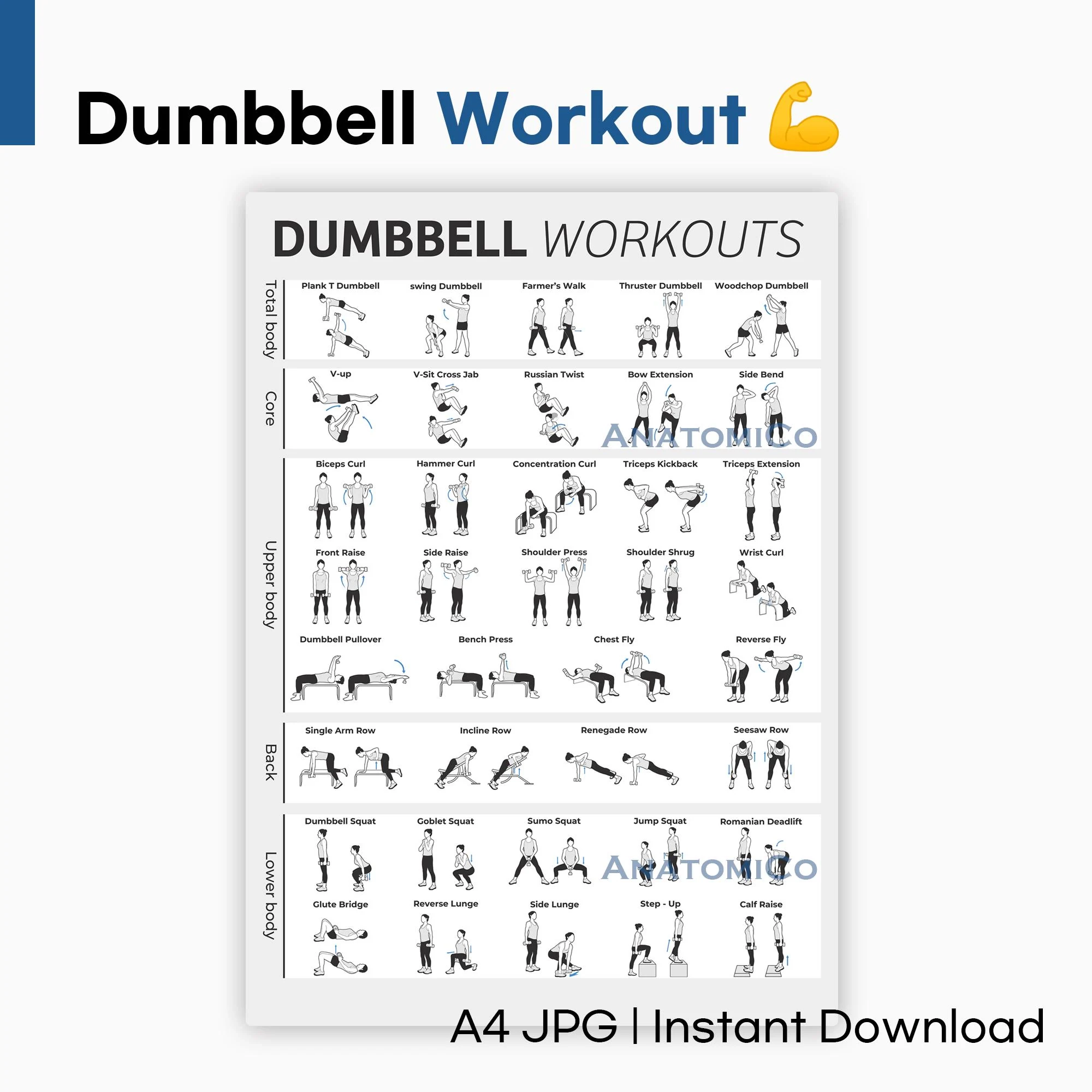 38 Dumbbell Workout Chart A4 JPG Printable Home Gym Exercise Poster Personal Use Only Etsy