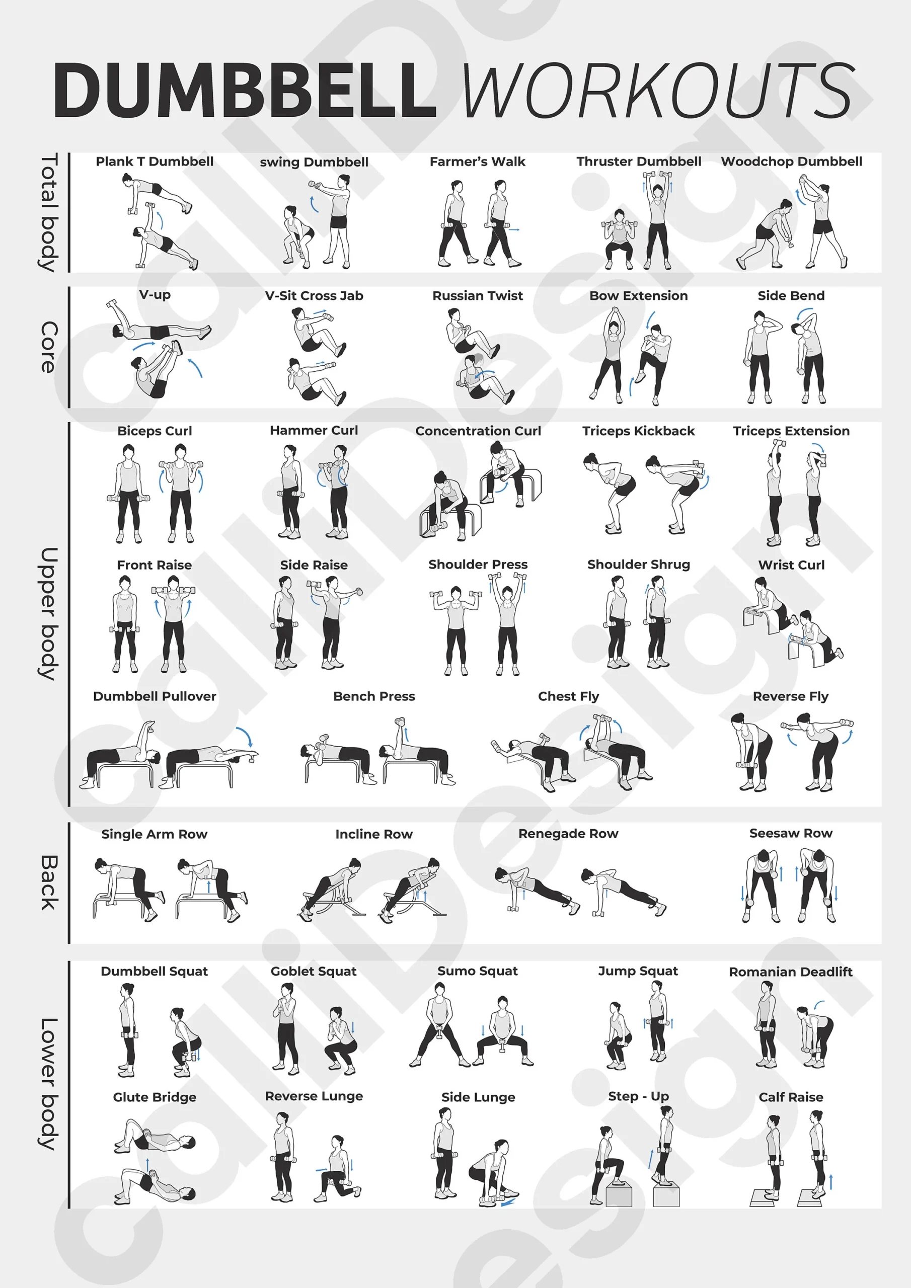38 Types Of Dumbbell Exercise Illustrations And 1 Type Of Poster File Etsy