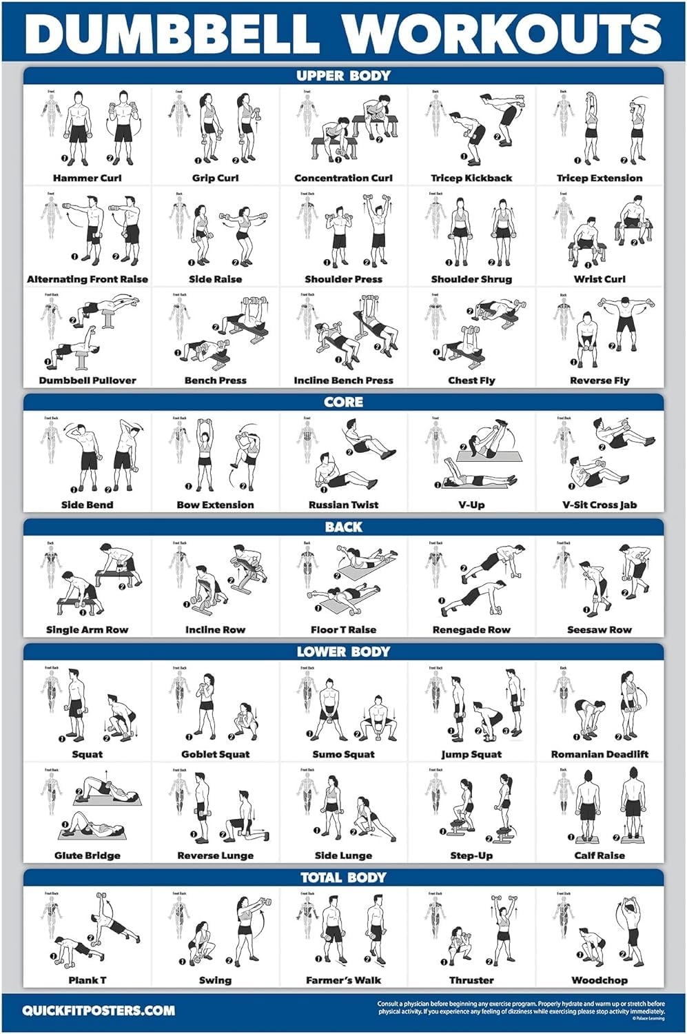 Amazon Palace Learning Dumbbell Workout Exercise Poster Free Weight Body Building Guide Home Gym Chart LAMINATED 18 X 24 Sports Outdoors