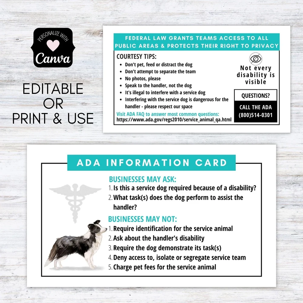 Border Collie Service Dog Cards Editable Simple Desert Designs