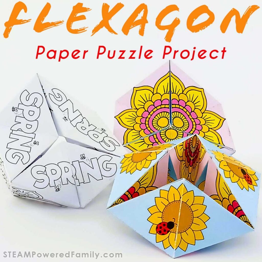 Build A Flexagon Paper Toy Hands On Math Discovery And Play