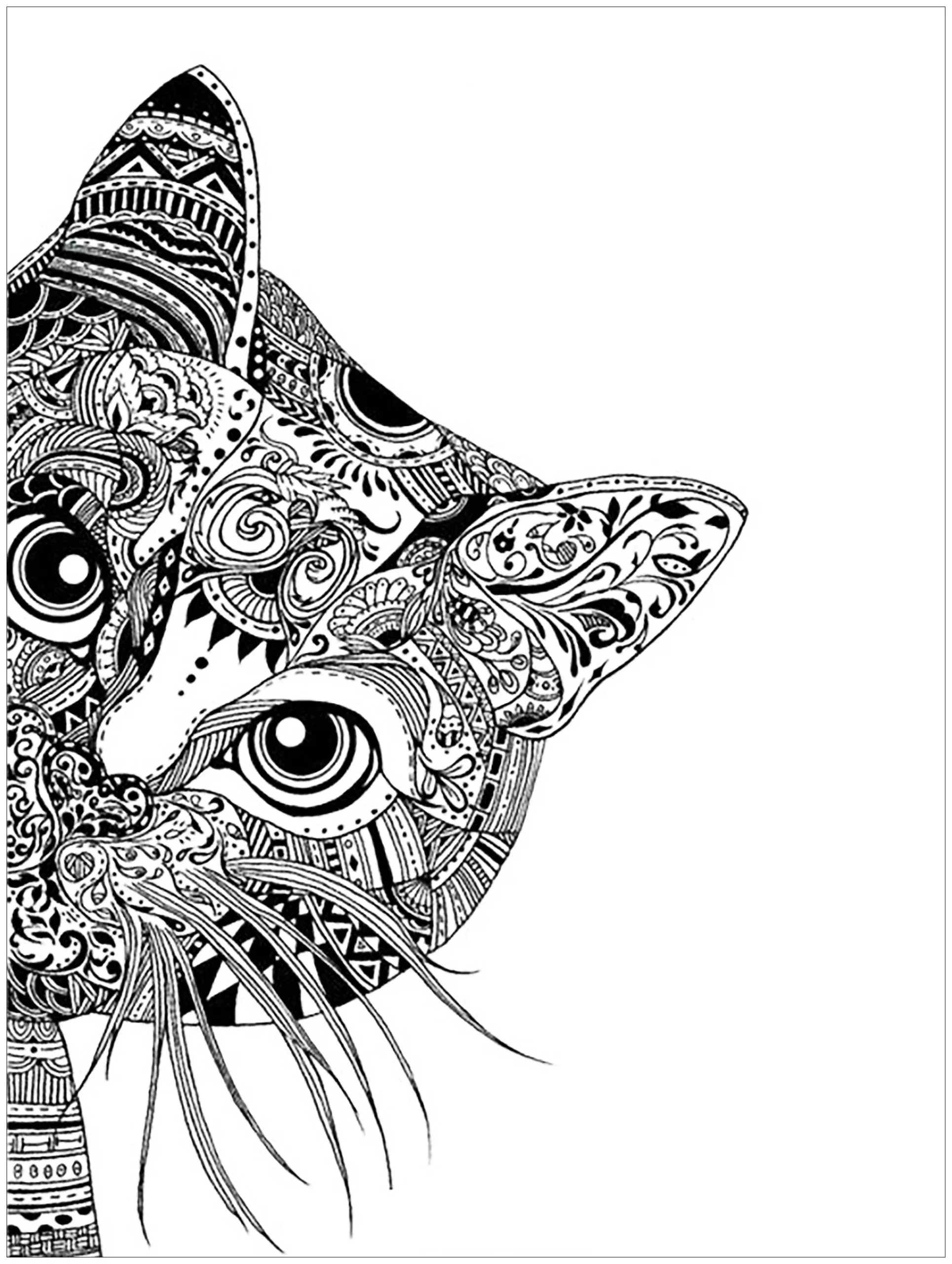 Cat Head Cat Coloring Pages For Adults