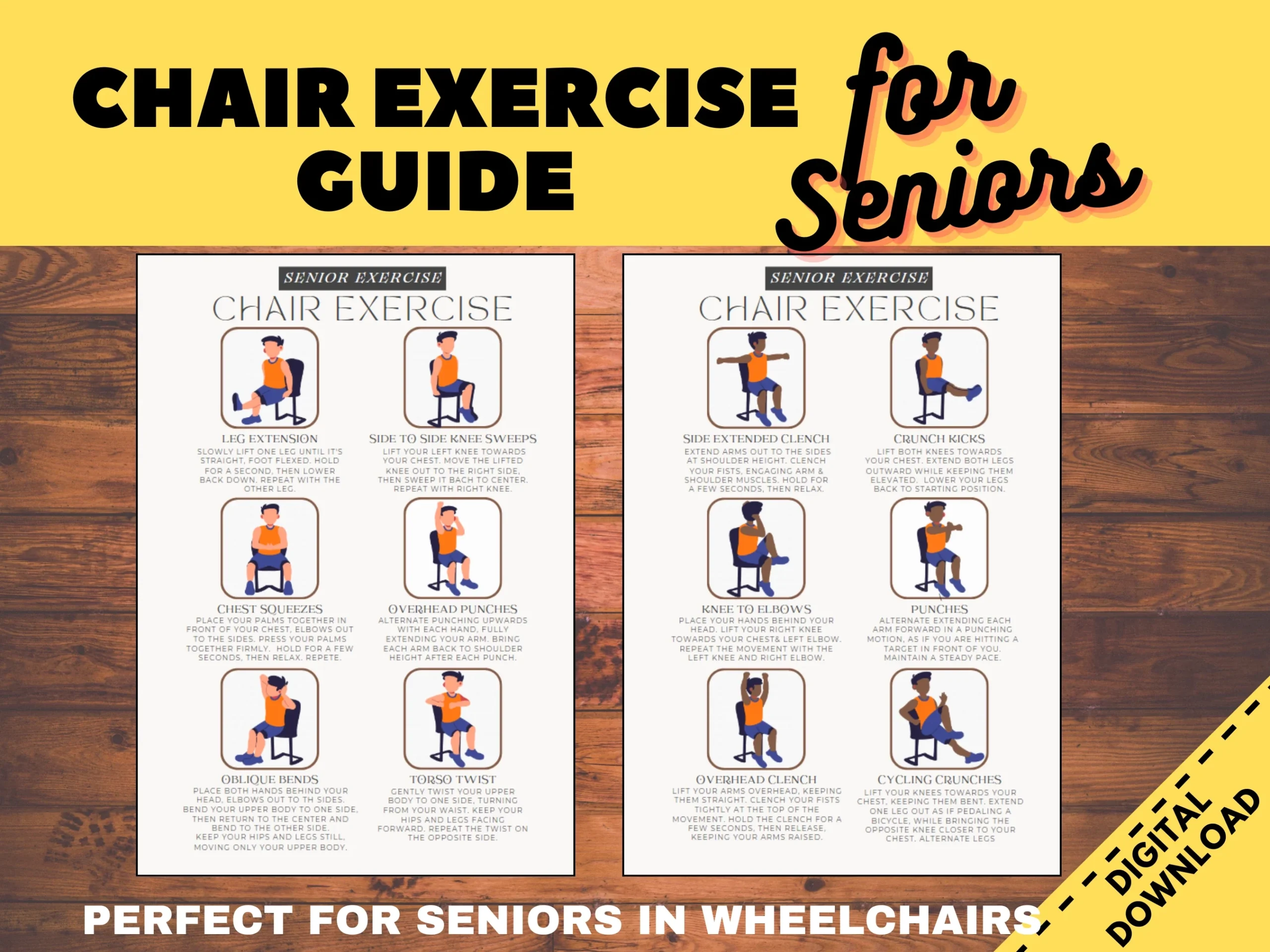 Chair Exercise Guide For Seniors Workout For Elderly Physical Therap