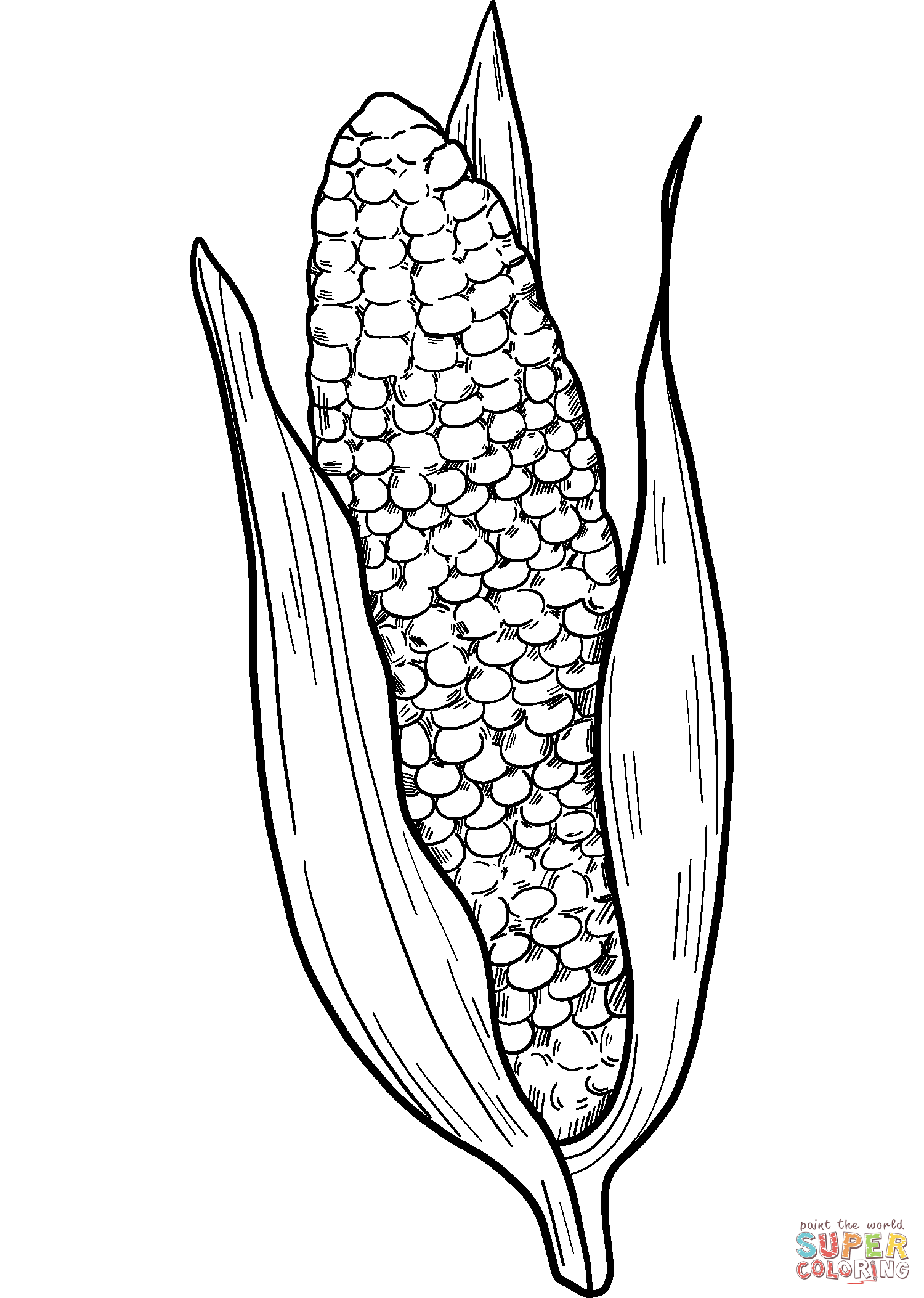 Corn Cob Coloring Page Free Printable