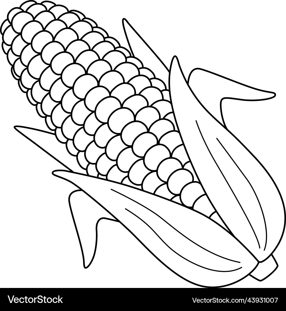 Cute Corn Coloring Page For Kids Royalty Free Vector VectorStock