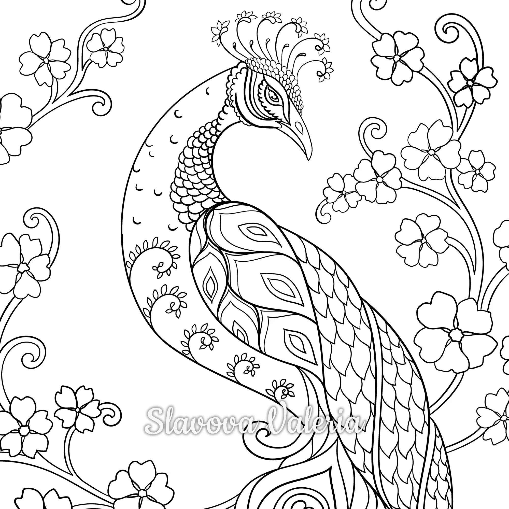 Detailed Peacock Coloring Page Printable Adult Stress Relief Bird Flower Art Digital Gift Idea Etsy