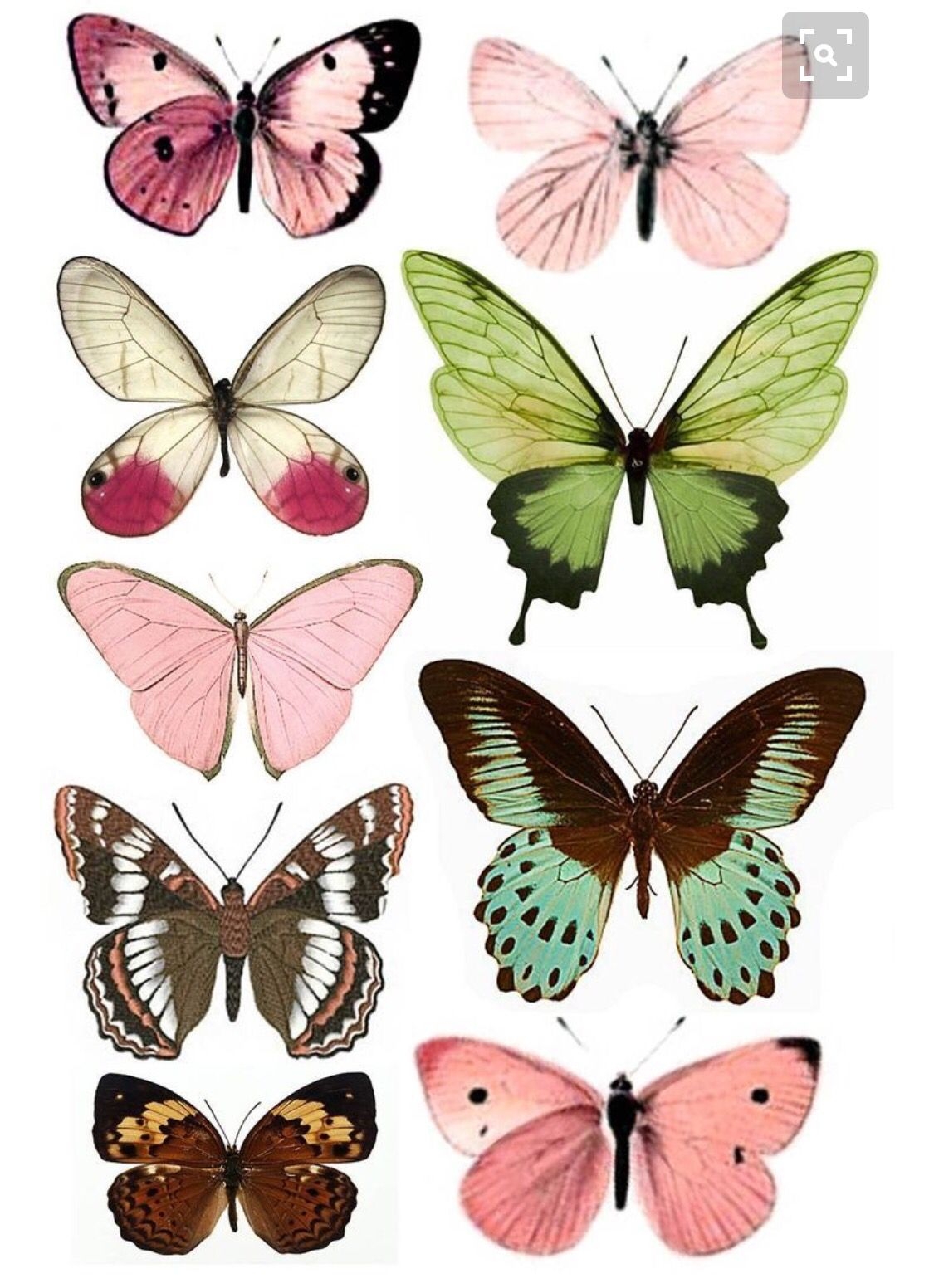 Discover 600 Printables Butterflies And Printables Ideas On This Pinterest Board Vintage Printables Embroidery Patterns Paper Crafts And More