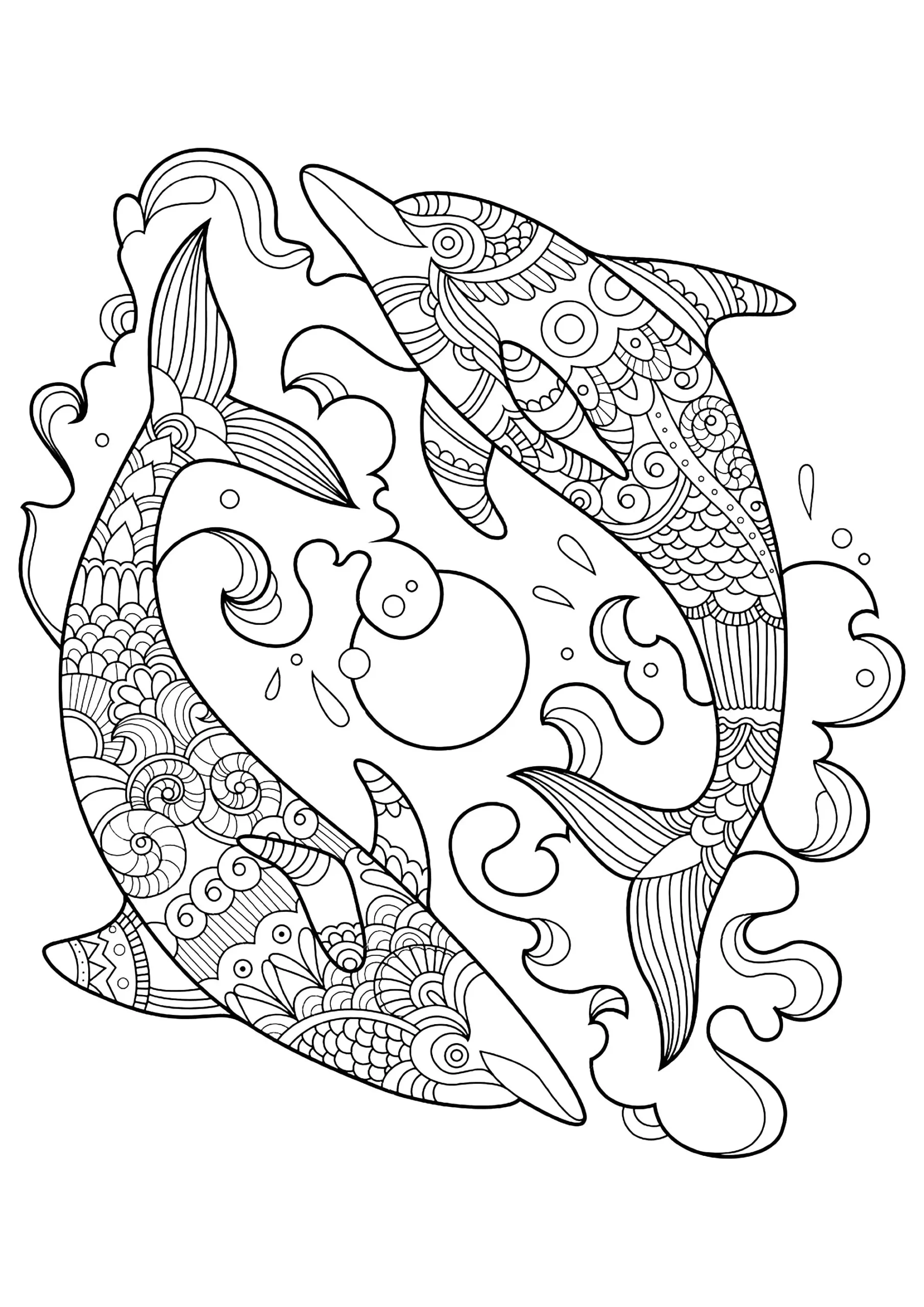 Dolphin Coloring Pages