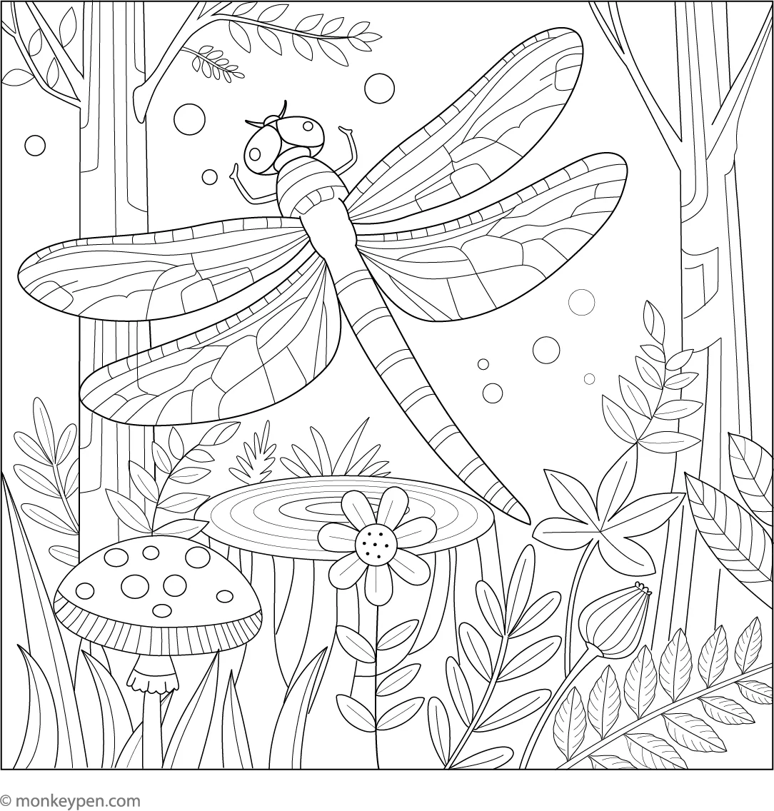 Dragonfly In A Rainforest Coloring Sheet Free PDF For Kids