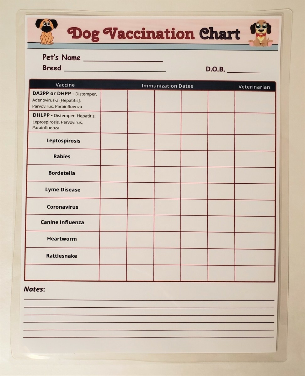 Dry Erase Dog Vaccination Chart Laminated Puppy Immunization Schedule EBay