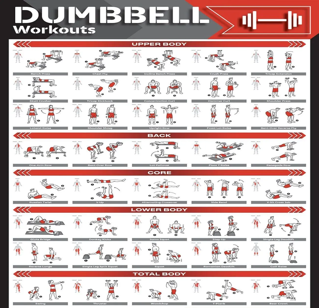 Dumbbell Workout Chart Fitcozi