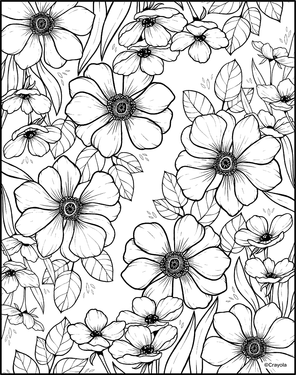 Free Colouring Pages Sheets Activities Free Colouring Pages Sheets Activities